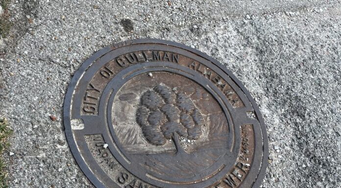 Cullman City Council holds water, sewer, sanitation rates steady for 2nd year