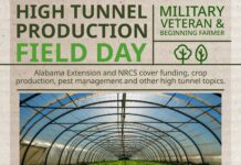 Discover High Tunnel Farming: Free workshop for veterans and beginners Sept. 19