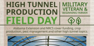 Discover High Tunnel Farming: Free workshop for veterans and beginners Sept. 19