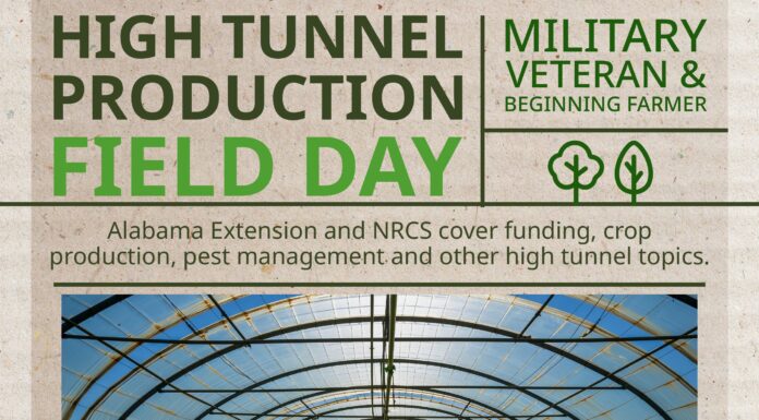 Discover High Tunnel Farming: Free workshop for veterans and beginners Sept. 19