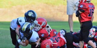 Cullman County Youth Football Tuesday night scores