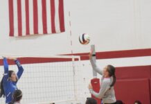 PREP VOLLEYBALL: Vinemont sweeps tri-match with Hanceville, Falkville