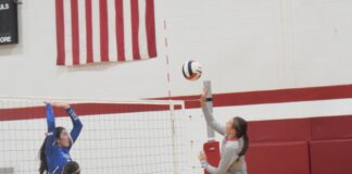 PREP VOLLEYBALL: Vinemont sweeps tri-match with Hanceville, Falkville