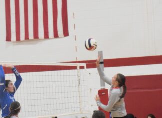 PREP VOLLEYBALL: Vinemont sweeps tri-match with Hanceville, Falkville