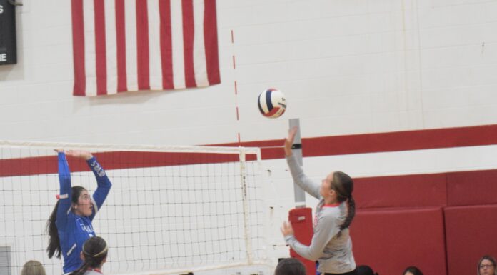 PREP VOLLEYBALL: Vinemont sweeps tri-match with Hanceville, Falkville
