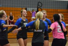 PREP VOLLEYBALL: Addison earns 3-1 area win at St. Bernard