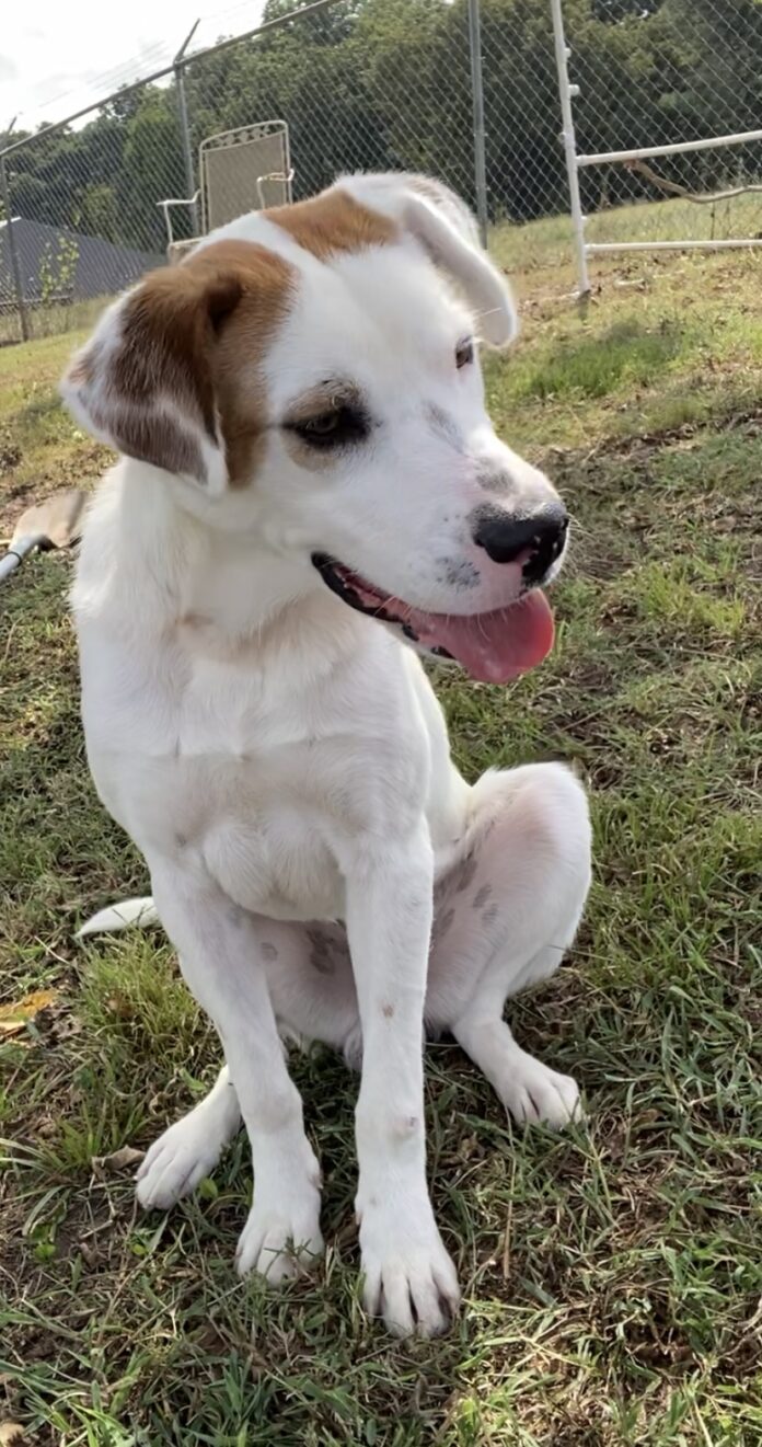 EA42A711-F215-4293-9A1B-23FFED6FEC10