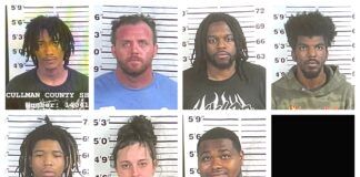 7 arrested in multistate vehicle theft ring