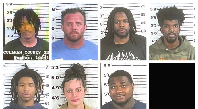 7 arrested in multistate vehicle theft ring