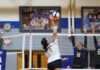 PREP VOLLEYBALL: Addison splits tri-match with Meek, Cullman