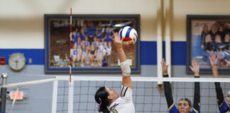 PREP VOLLEYBALL: Addison splits tri-match with Meek, Cullman