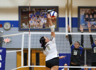 PREP VOLLEYBALL: Addison splits tri-match with Meek, Cullman