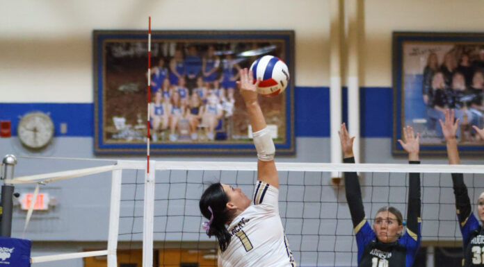 PREP VOLLEYBALL: Addison splits tri-match with Meek, Cullman