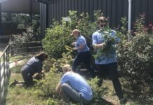 United Way Day of Caring coming Sept. 10