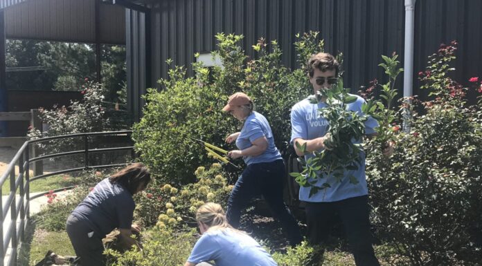 United Way Day of Caring coming Sept. 10