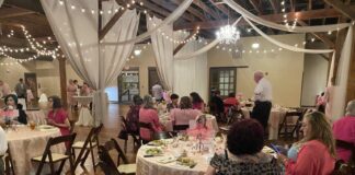 Sold-out Little Pink Dress event continues to raise funds