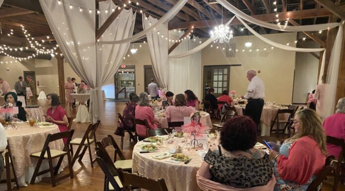 Sold-out Little Pink Dress event continues to raise funds