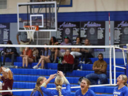 PREP VOLLEYBALL: Addison sweeps St. Bernard, Meek to win area 14 title