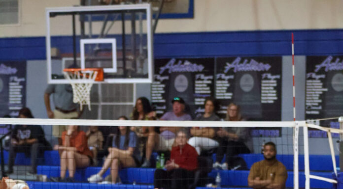 PREP VOLLEYBALL: Addison sweeps St. Bernard, Meek to win area 14 title