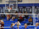 PREP VOLLEYBALL: Addison sweeps Cullman Christian on senior night