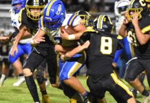 PREP FOOTBALL: Cold Springs hammers Cleveland on the road 46-0