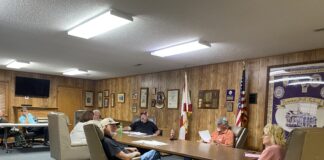 Fairview Town Council talks fire hydrants, Little Free Library