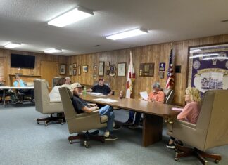 Fairview Town Council talks fire hydrants, Little Free Library