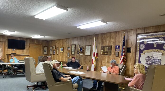 Fairview Town Council talks fire hydrants, Little Free Library