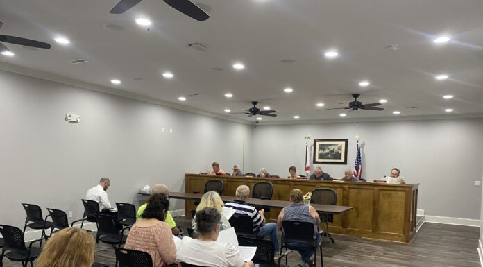 Baileyton council talks Family Fun Day in the Park