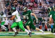 PREP FOOTBALL: Holly Pond drops region opener at Sylvania 48-6