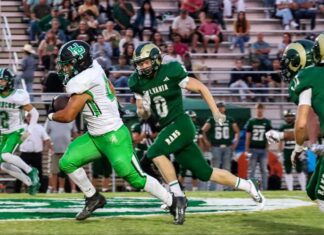 PREP FOOTBALL: Holly Pond drops region opener at Sylvania 48-6
