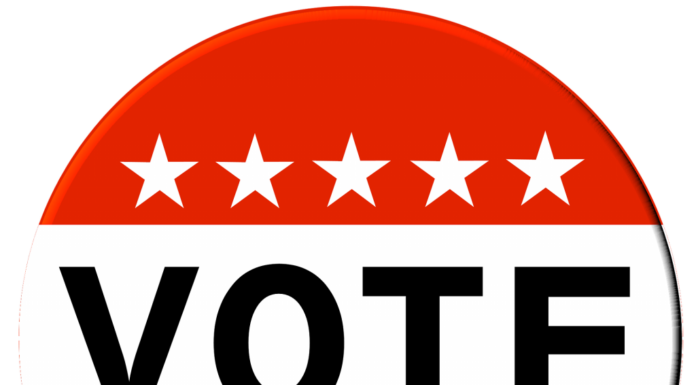 Nov. 5 General Election sample ballots released