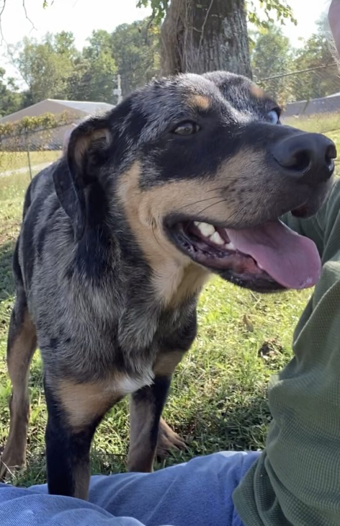 3142E51F-3317-40DE-98AB-1BDCCF51807B