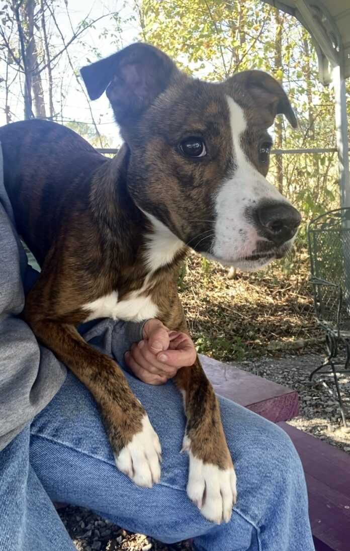 4E707F60-F2E0-4BB5-91B2-05ADE2BB8EB7