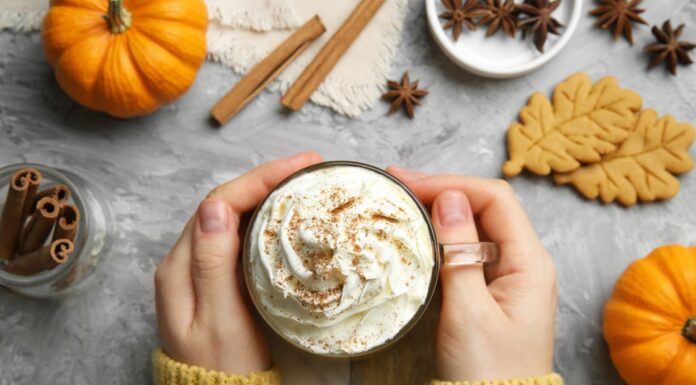 Live the pumpkin spice life
