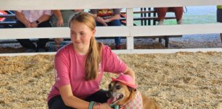 Cats, dogs and rabbits, oh my!