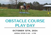 Horse and rider challenge: Dunn Legacy Ranch & Tack hosting Obstacle Course Play Day Oct. 12