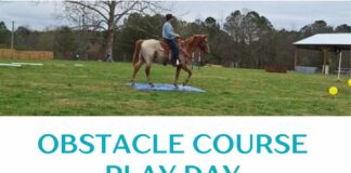 Horse and rider challenge: Dunn Legacy Ranch & Tack hosting Obstacle Course Play Day Oct. 12