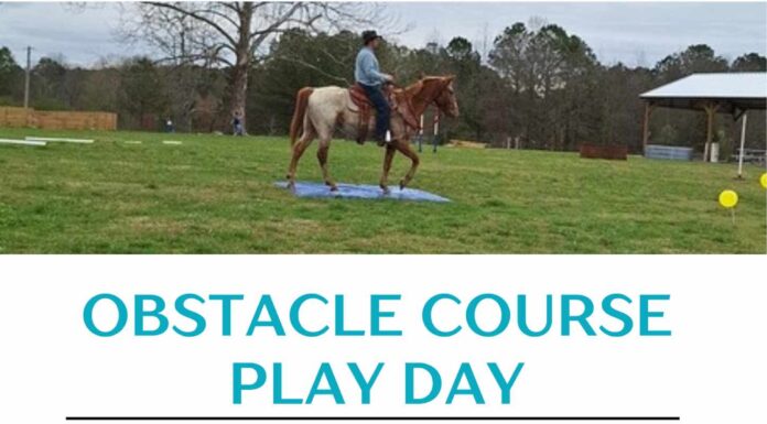Horse and rider challenge: Dunn Legacy Ranch & Tack hosting Obstacle Course Play Day Oct. 12