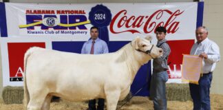 Local youth win during Alabama National Fair Livestock Shows