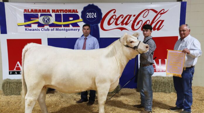 Local youth win during Alabama National Fair Livestock Shows
