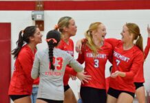 PREP VOLLEYBALL: Vinemont downs Hanceville, Holly Pond to win area championship