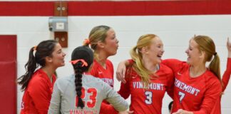 PREP VOLLEYBALL: Vinemont downs Hanceville, Holly Pond to win area championship