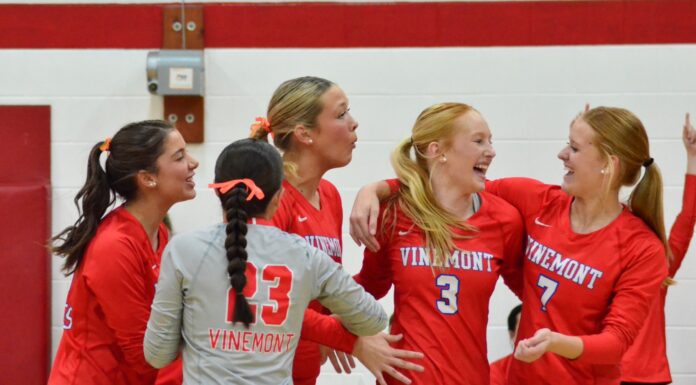 PREP VOLLEYBALL: Vinemont downs Hanceville, Holly Pond to win area championship