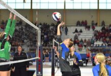 STATE VOLLEYBALL TOURNAMENT: Addison, Arab drop semifinal matches; West Point falls to UMS-Wright in quarterfinals