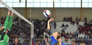 STATE VOLLEYBALL TOURNAMENT: Addison, Arab drop semifinal matches; West Point falls to UMS-Wright in quarterfinals