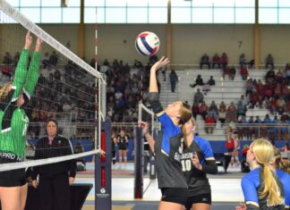 STATE VOLLEYBALL TOURNAMENT: Addison, Arab drop semifinal matches; West Point falls to UMS-Wright in quarterfinals