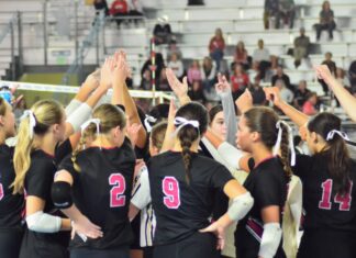 PREP VOLLEYBALL: Bearcats fall to Chelsea in 1st state tournament appearance