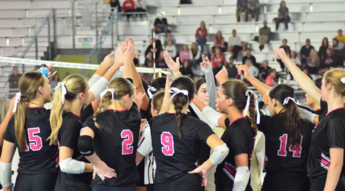 PREP VOLLEYBALL: Bearcats fall to Chelsea in 1st state tournament appearance