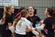 PREP VOLLEYBALL: Cullman takes varsity match over Homewood 3-1